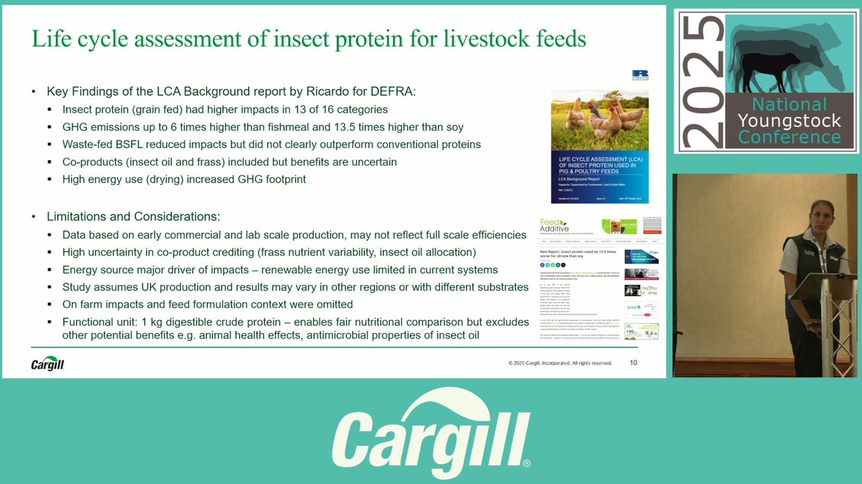 New alternative fat sources in calf milk replacer